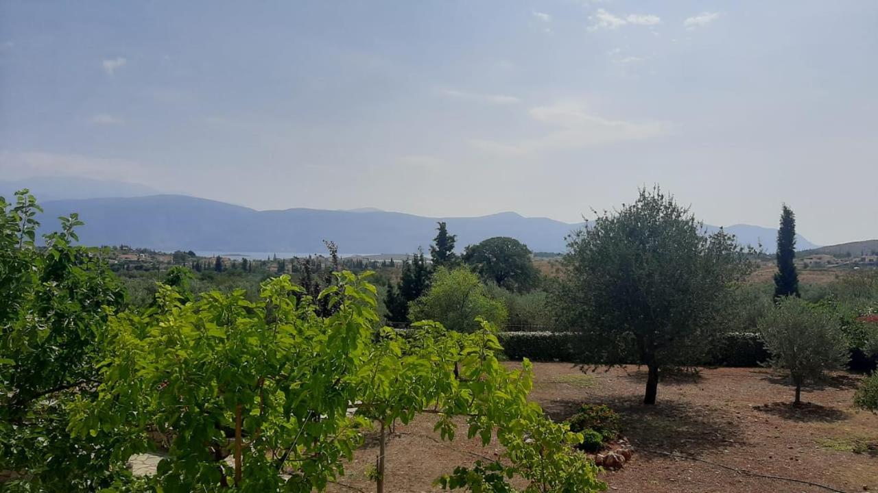 Delphi View!